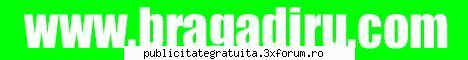 ce parere aveti de   este un portal al orasului bragadiru. astept sugestii pro si contra. cine este