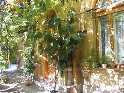 vand casa 150m2, in bucuresti (zona amenajare nr. 14, sec. 2
tel: 0728853277 - 0751502094 
pret -